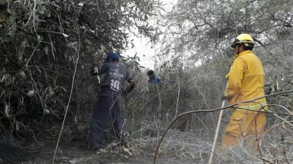 Trabajadores de la empresa Agropucalá también apoyan para pagar incendio.