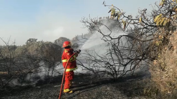 Incansable trabajo que realizan los bomberos para controlar el incendio forestal.
